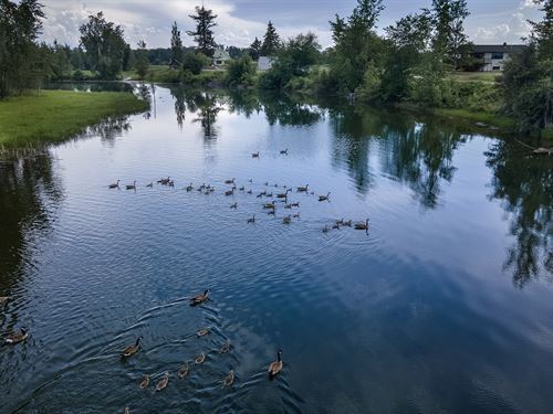 Forest Land For Sale In Montana