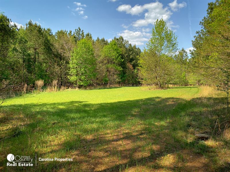 Stoney Point Acreage : Lexington : Davidson County : North Carolina