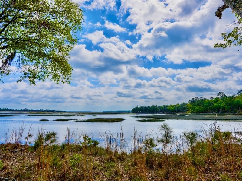 Sheffield Island on Sadlers Creek : Woodbine : Camden County : Georgia