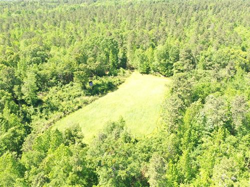 Jasper County Georgia Land for Sale : LANDFLIP