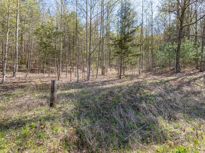 Unrestricted, Against Usfs Land, Land for Sale in 349092