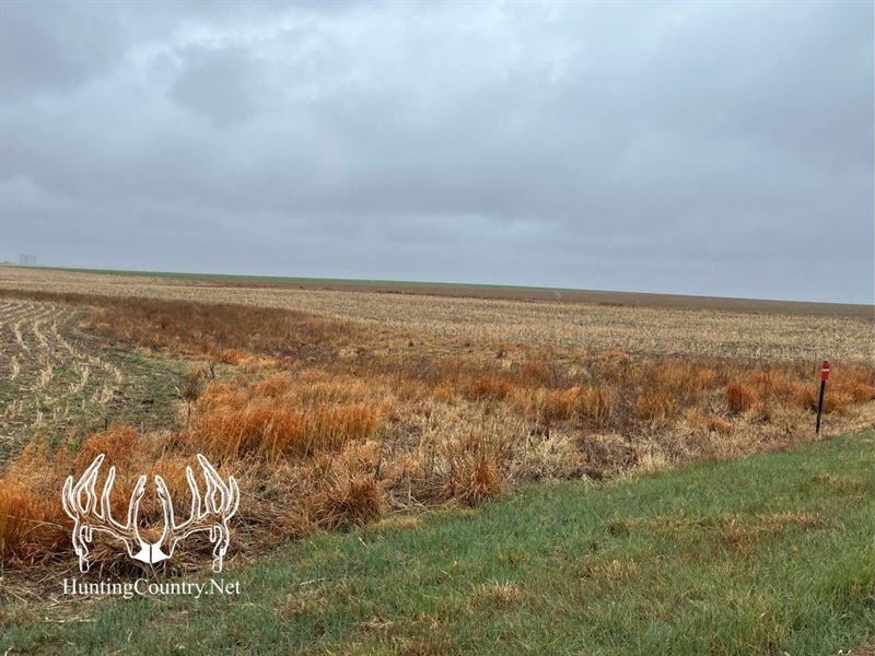 240 Acres M/L Ness County, Kansas : Ness City : Ness County : Kansas