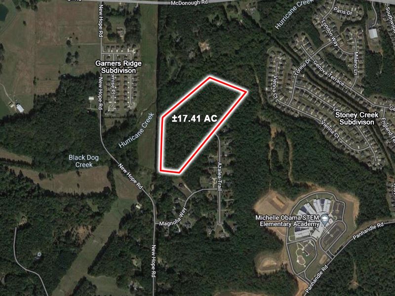 Potential Residential Development : Hampton : Clayton County : Georgia