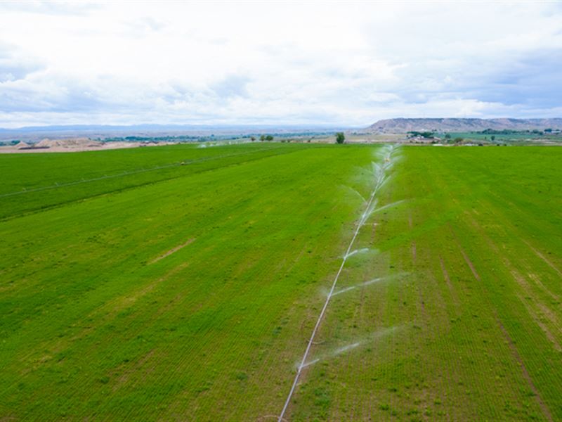 Midview Farm : Duchesne : Duchesne County : Utah