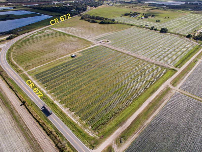 CR 672, Riverview, FL 73 Acres : Riverview : Hillsborough County : Florida