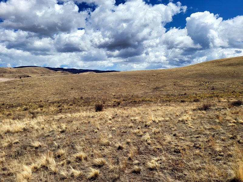 Sheltered Cove : Westcliffe : Custer County : Colorado