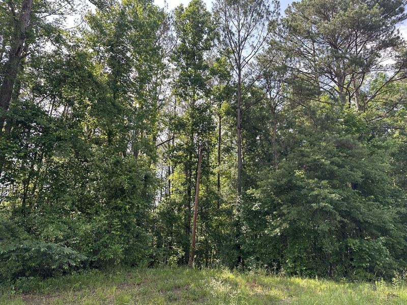 24 Acres in Perry County, Alaba : Marion : Perry County : Alabama