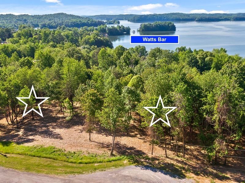 Lot Near Watts Bar Lake : Spring City : Rhea County : Tennessee