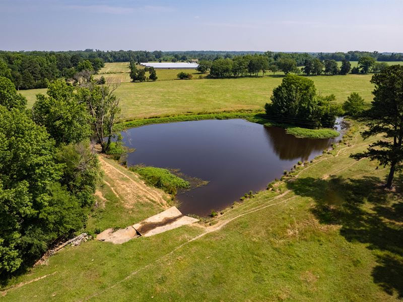 Fite Ranch, 138 Acres Upshur County : Gilmer : Upshur County : Texas