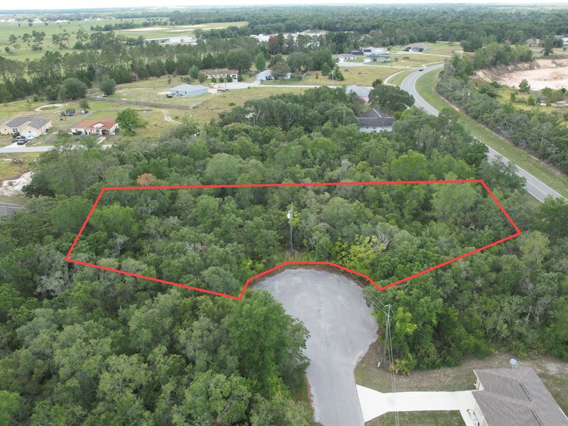 Double Lot on Ash Pass Run : Ocala : Marion County : Florida