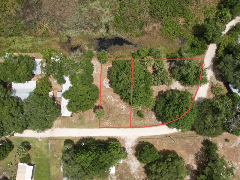 NE 135th Ln, Fort McCoy, FL 32132 : Ocala : Marion County : Florida