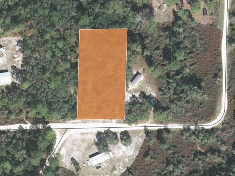 Beautiful Acre Lot Near Lake : Pomona Park : Putnam County : Florida