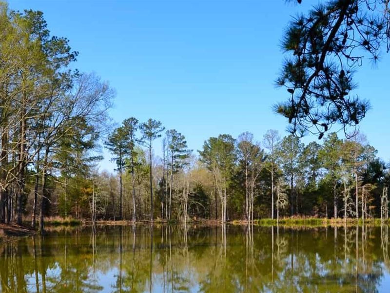 Sandy River West Tract : Carlisle : Chester County : South Carolina