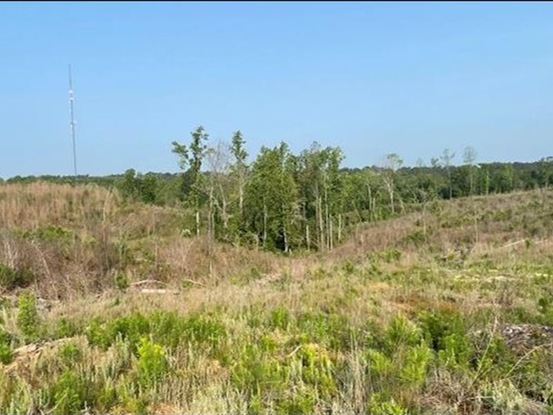 94.8 Acres in Carroll County in Car : Carrollton : Carroll County : Mississippi