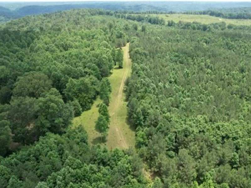 Unrestricted Land for Sale in TN : Lawrenceburg : Lawrence County : Tennessee