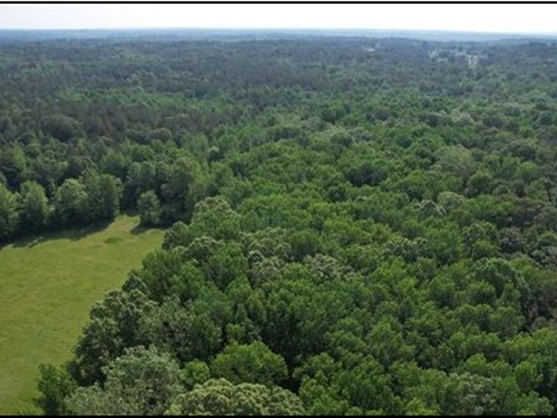 344.3 Acres in Lafayette County : Oxford : Lafayette County : Mississippi