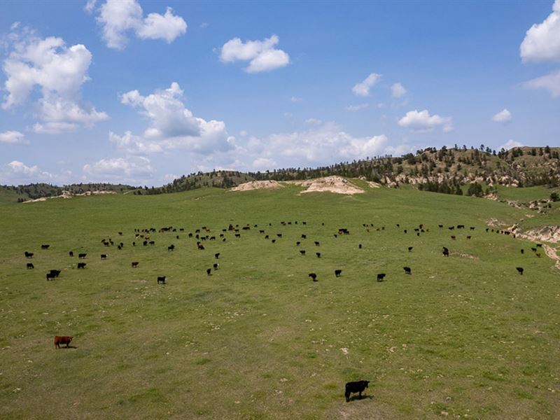 JR Ranch in Nebraska : Gering : Banner County : Nebraska