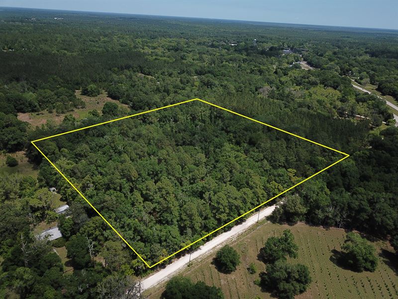 9 Acres Zoned Ag : Waldo : Alachua County : Florida