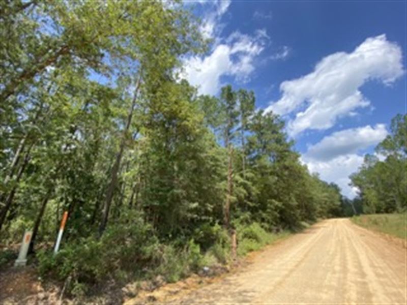 Barlow Road Property, Land for Sale in Alabama, 352265 LANDFLIP