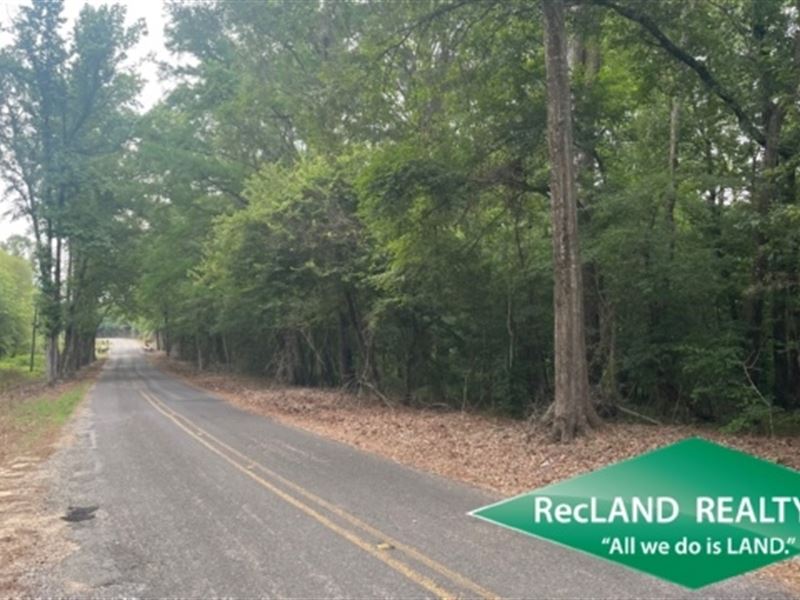 56 Ac, Wooded Tract for Rural Home : West Monroe : Ouachita Parish : Louisiana