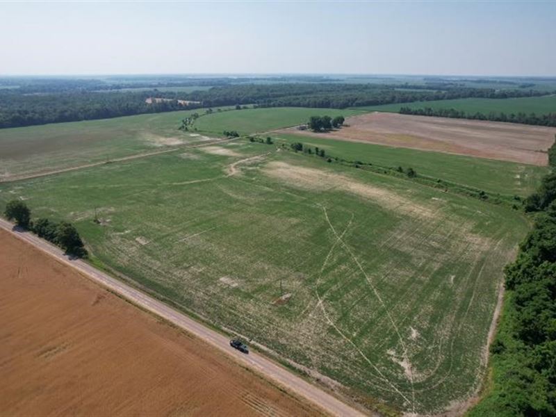 119 Acres in Sunflower County In : Indianola : Sunflower County : Mississippi