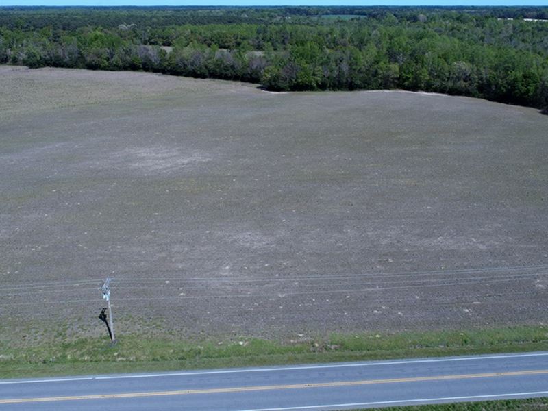 Beautiful Farm with Home Site : Rowland : Robeson County : North Carolina