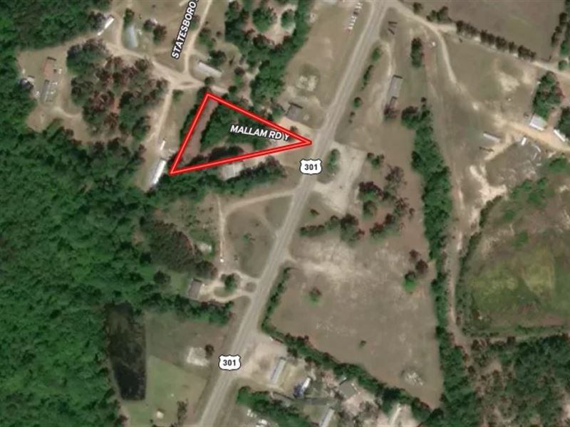 Commercial Lot in Screven County : Sylvania : Screven County : Georgia