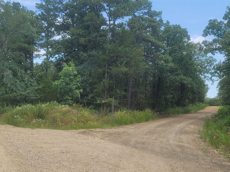 Joslin Valley Tract B : Snow : Pushmataha County : Oklahoma