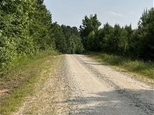 Greene County Georgia Land For Sale Landflip 8323