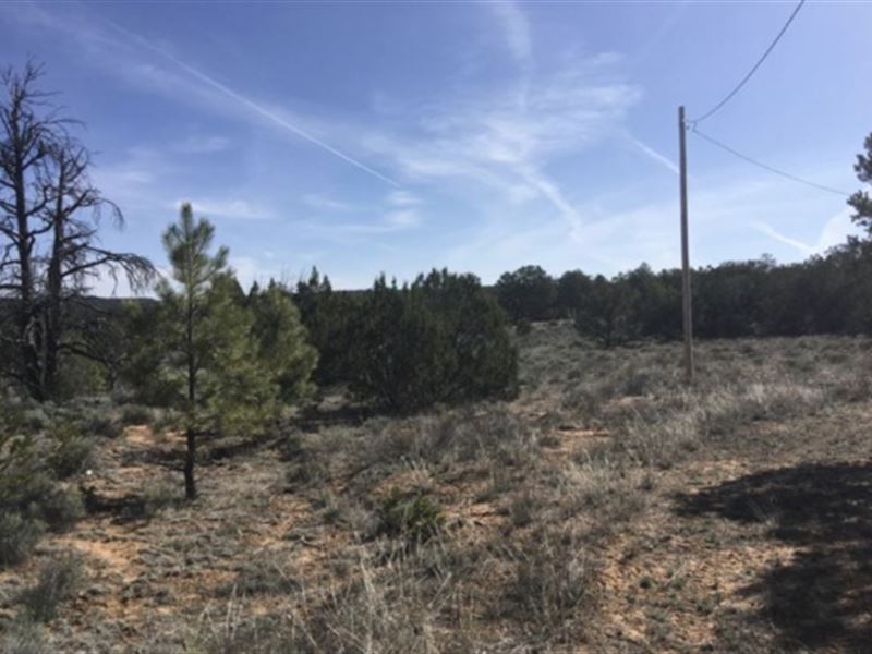 Rural 2.5 Acre Paradise in NM : Pinehill : Cibola County : New Mexico