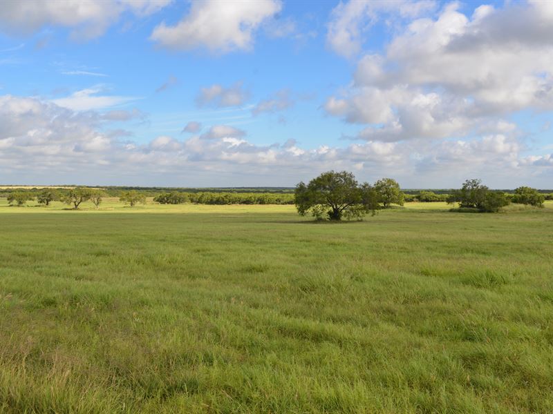 Buehring Ranch : George West : Live Oak County : Texas