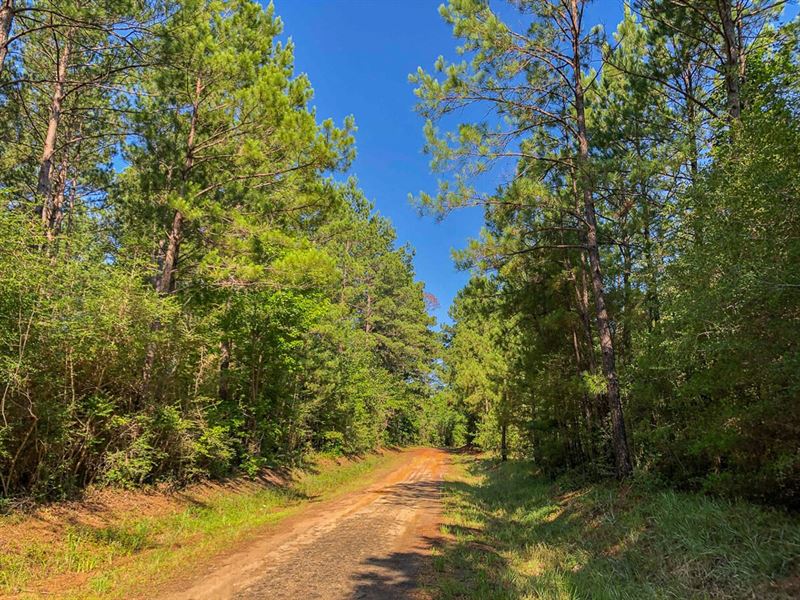 27 Acres, T-4 Saron : Zavalla : Angelina County : Texas