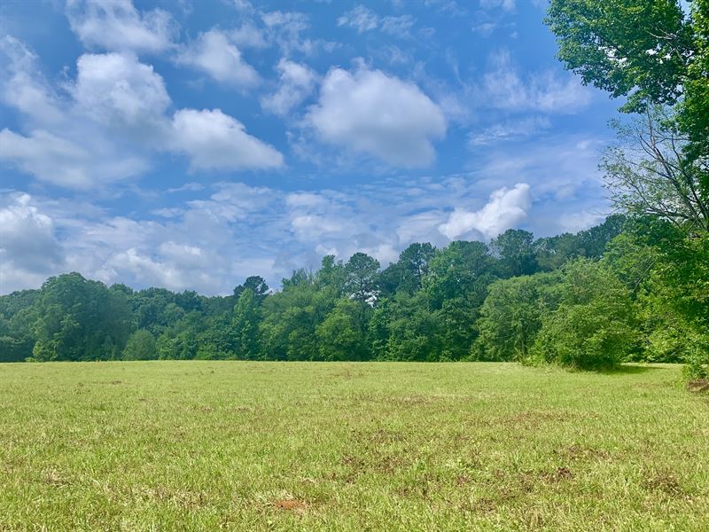 Beautiful Pasture with Homesites : Griffin : Spalding County : Georgia