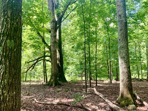 Land For Sale In Spalding County Georgia