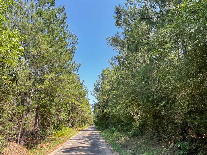 25 Acres, T-7 Saron : Nancy : Angelina County : Texas