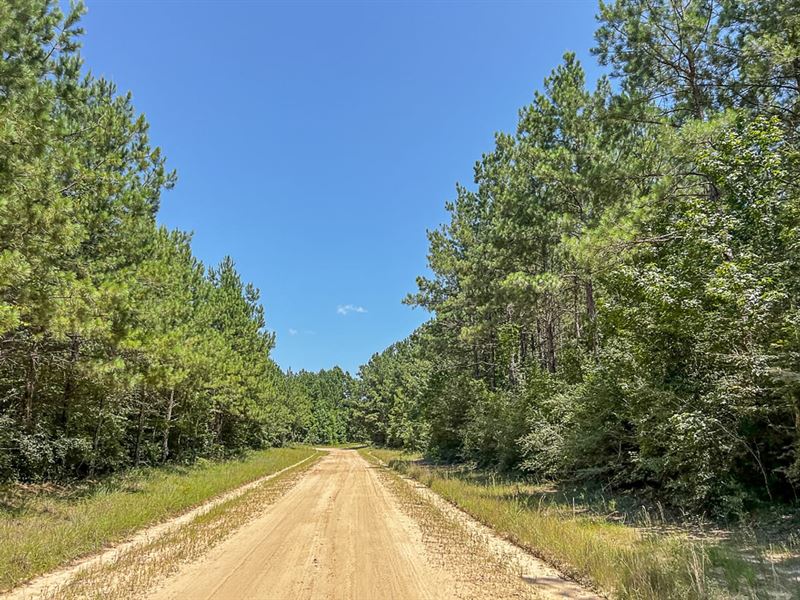 21 Acres, T-17 Saron : Zavalla : Angelina County : Texas