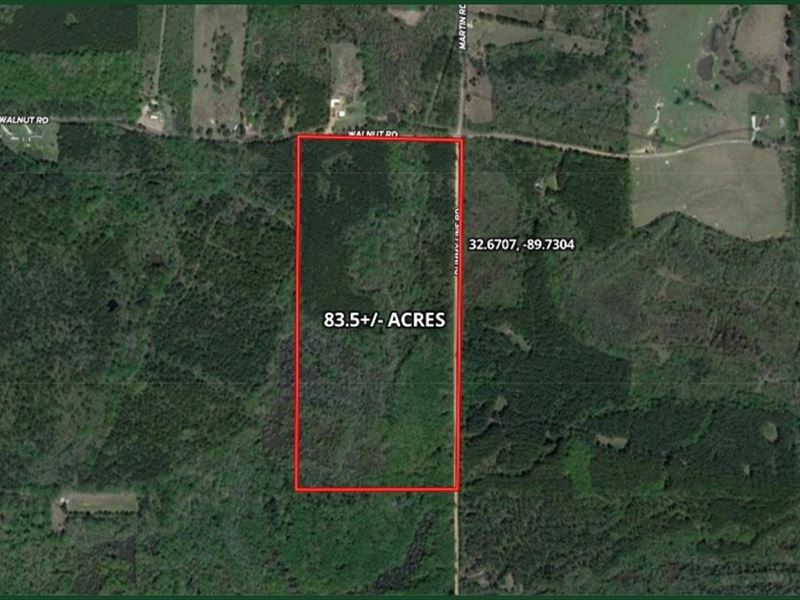 83.5 Acres in Madison County in Car : Carthage : Madison County : Mississippi