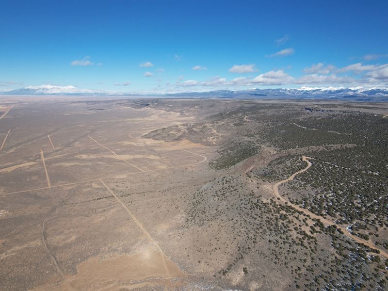 .23 Ac Costilla County, $49 Down : Mesita : Costilla County : Colorado