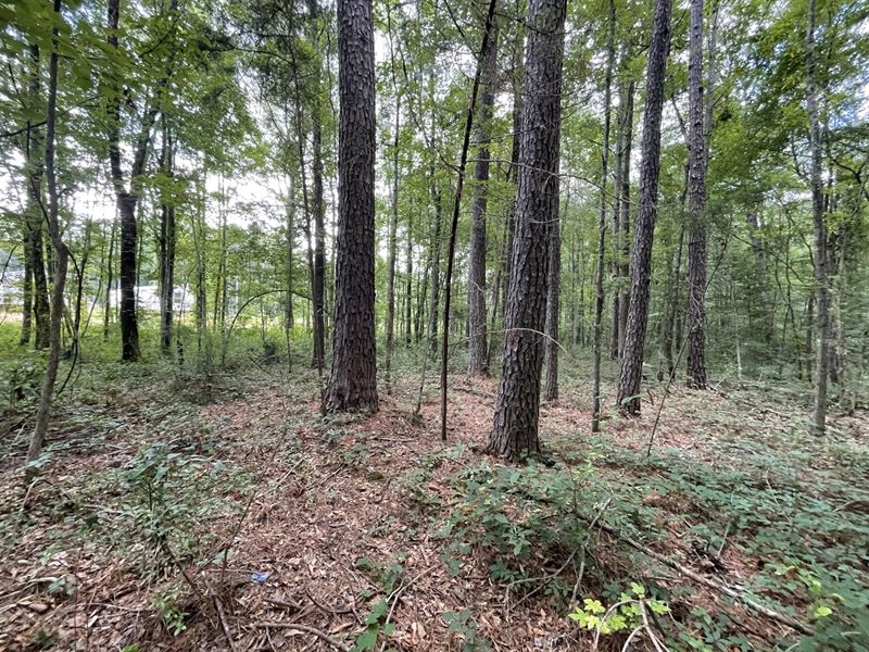 11.7 Acres in Newton County in Newt : Newton : Newton County : Mississippi