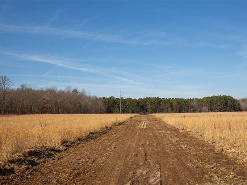 5.45 Acre in Shannon County, MO : Winona : Shannon County : Missouri