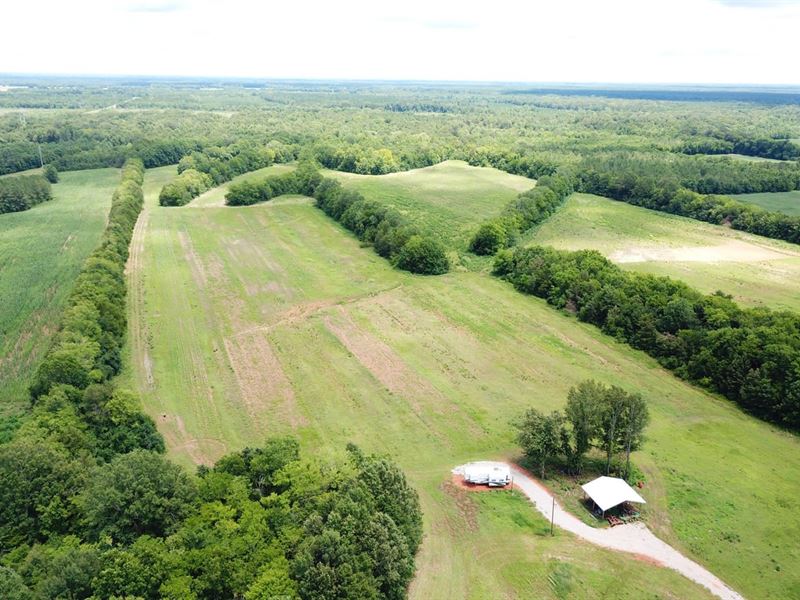 Washington Creek Farm : Marion : Perry County : Alabama