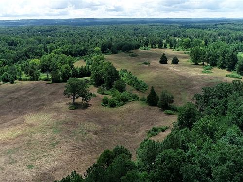 Blount County Alabama Land for Sale : LANDFLIP