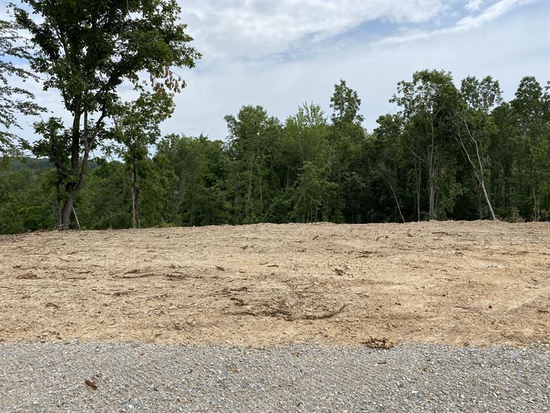 Hill Top View : Willow Springs : Howell County : Missouri