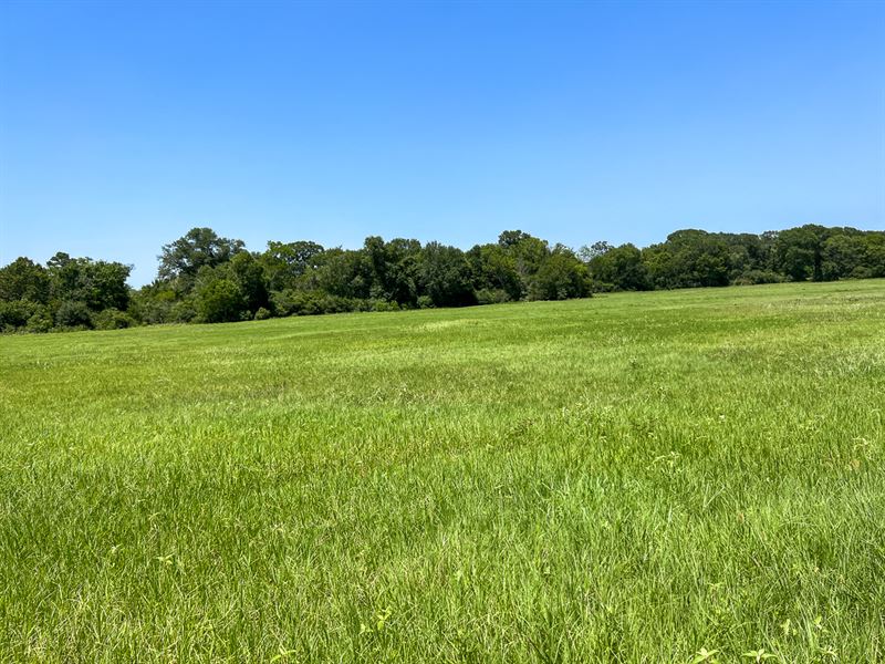 34 Acres, T-18 County Road 3630 : Lovelady : Houston County : Texas