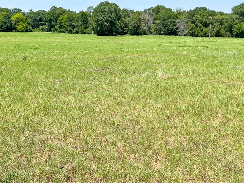 32 Acres, T-17 County Road 3630 : Lovelady : Houston County : Texas