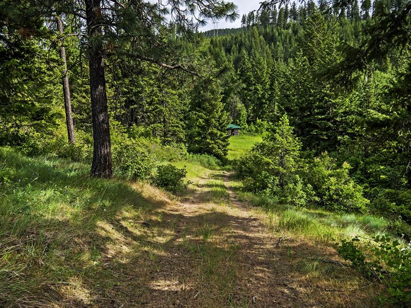 Eternal Views : Bonners Ferry : Boundary County : Idaho