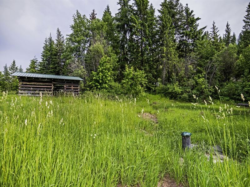 On Top of The World Acreage : Bonners Ferry : Boundary County : Idaho