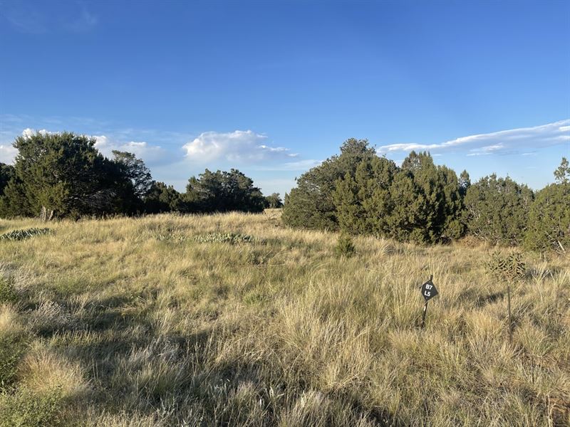 Black Diamond Park, Walsenburg : Walsenburg : Huerfano County : Colorado