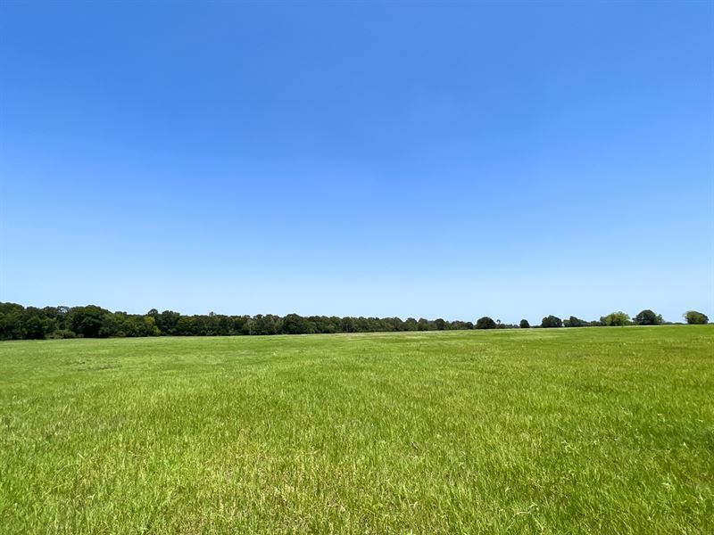 29 Acres, T-16 County Road 3630 : Lovelady : Houston County : Texas