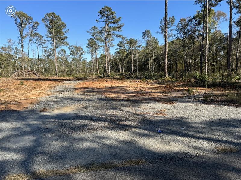 Spacious Lot for Sale : Macon : Monroe County : Georgia